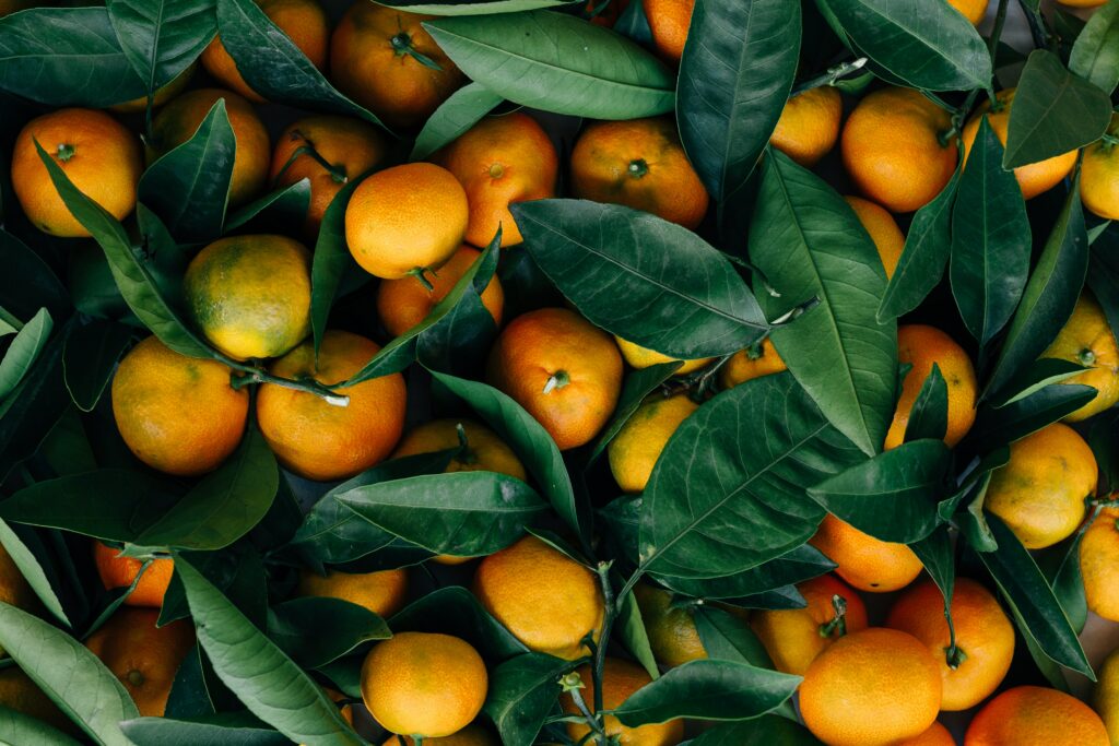 clementines_benefits of eating organic