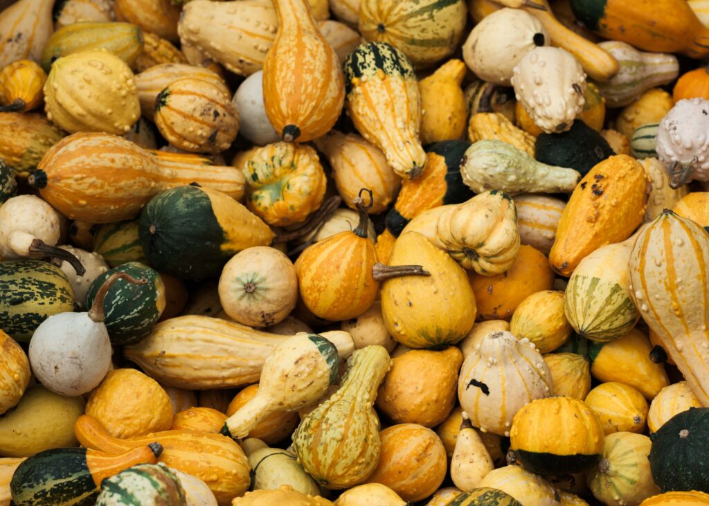 Gourds_best ayurvedic foods in winter for digestion