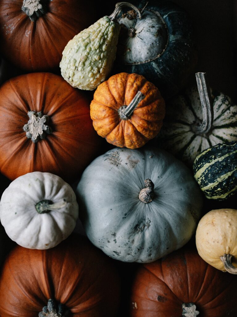 pumpkins and squash_October produce guide