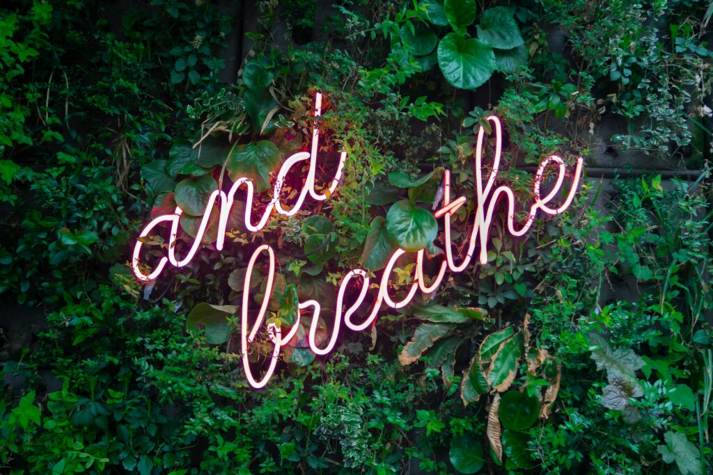 green plant wall that says 'and breathe'_habits for a healthy new year