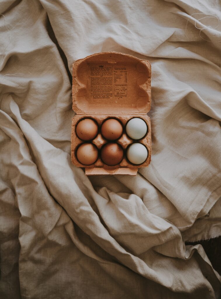 egg carton with beautiful eggs_ Pasture raised eggs vs organic