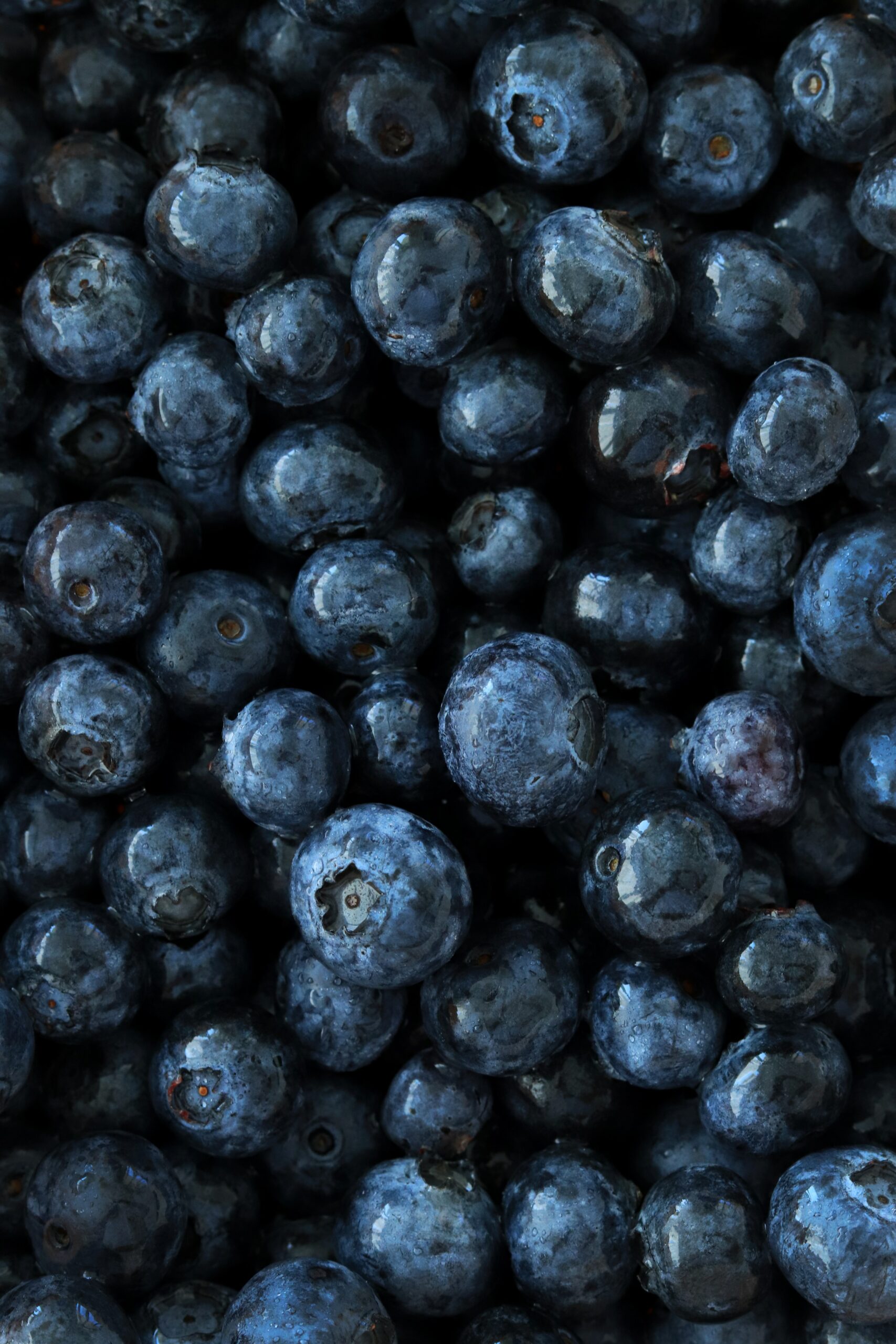 blueberries for skin health_how diet affects skin